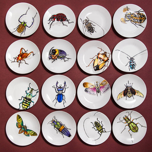 TABLEWARE - MY BEETLES